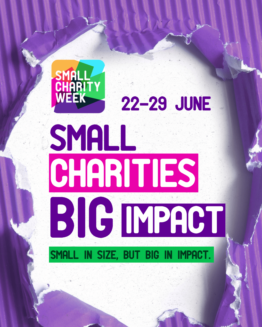 Featured image for “Small Charities Week 2026”